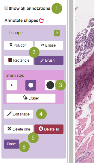 Annotate Shapes